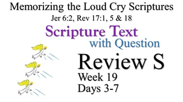 Review S (Days 3-7) with Q