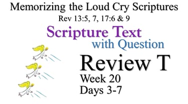 Review T (Days 3-7) with Q