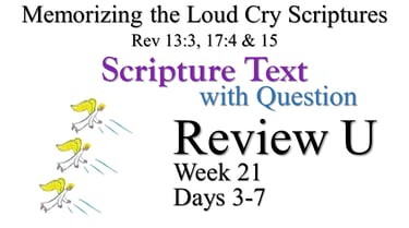 Review U (Days 3-7) with Q