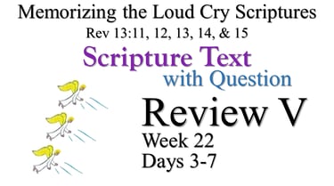 Review V (Days 3-7) with Q