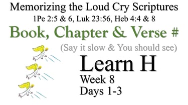 Learn H (Day 1-3)