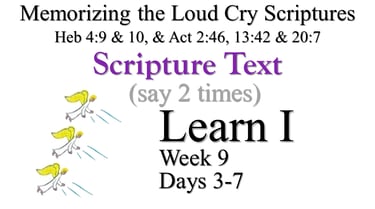 Learn I (Days 3-7)