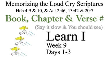 Learn I (Days 1-3)