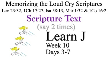 2x Learn J (Days 3-7)