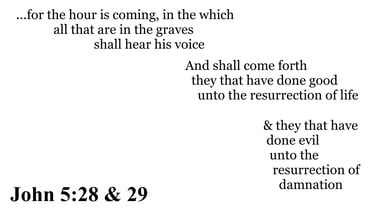 John 5:28 & 29 You should see