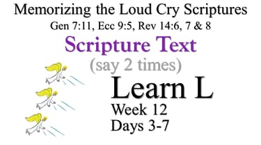 2x Learn L (Days 3-7)