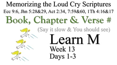 Learn M (Days 1-3)