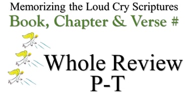 P-T Book, Chapter & Verse # Whole Review