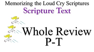 P-T Scripture Text Whole Review