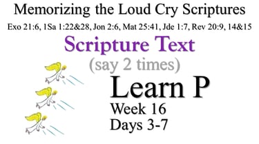 2x Learn P (Days 3-7)