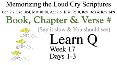 Learn Q (Days 1-3)