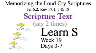2x Learn S (Days 3-7)