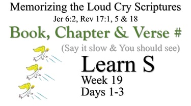 Learn S (Days 1-3)