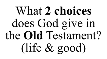 What 2 choices does God give in the Old Testament? (life & good)
