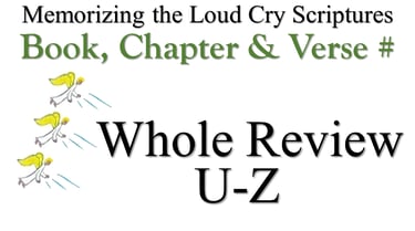 U-Z Book, Chapter & Verse # Whole Review