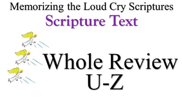 U-Z Scripture Text Whole Review