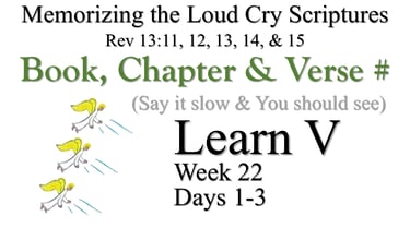 Learn V (Days 1-3)