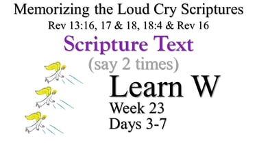 2x Learn W (Days 3-7)