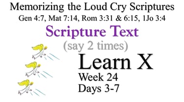 2x Learn X (Days 3-7)