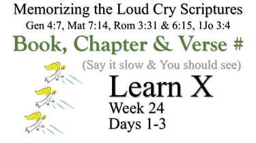 Learn X (Days 1-3)