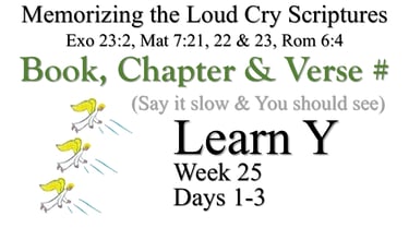 Learn Y (Days 1-3)