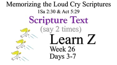 2x Learn Z (Days 3-7)