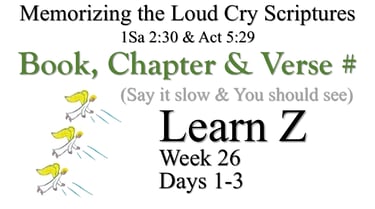 Learn Z (Days 1-3)