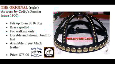 Colby PitBull Harnesses