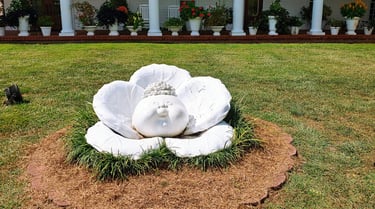 Cleveland GA - Babyland General Hospital is where the Cabbage Patch kids were born