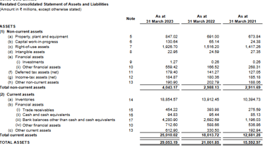 assets of balance sheet_senco gold ipo analsis_the moat investor