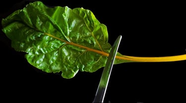 Swiss Chard cut with knife