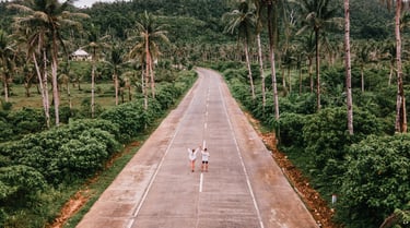 two people walking down a road with palm trees