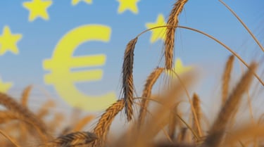 Farm to Fork : vers une baisse de la production agricole européenne de 10 à 20% ?
