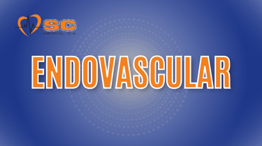 Sc Medical Supply Linea Endovascular