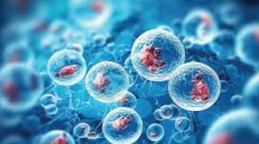 Retinitis Pigmentosa Fasting, Autophagy, Stem Cells, and Emerging Therapies
