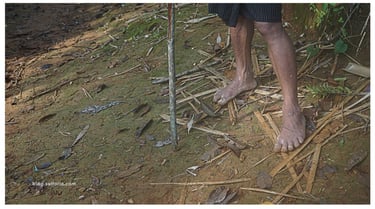 rahasia kekuatan jalan jauh suku baduy dalam