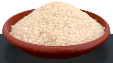 Cultivo de arroz chileno en los campos de Arrocera Parral, agricultura tradicional.