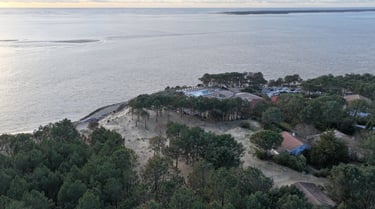 Aerial view of a coastal pine forest resort overlooking a calm ocean bay at sunset.