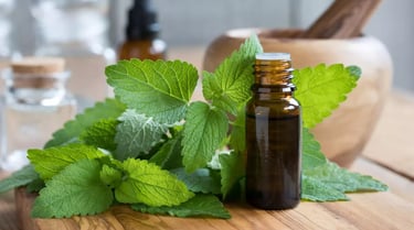 Huiles essentielles anti-moustiques