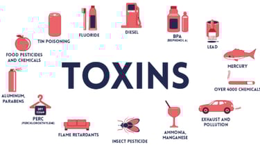 Toxic products and material that make us sick
