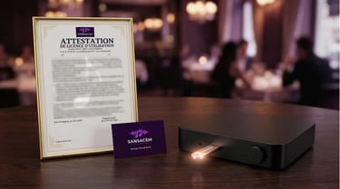 clés usb sansacem avec attestation de license d'utilisation