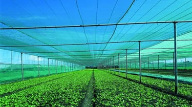 HDPE Shade Net for Polyhouse and Greenhouse Farming