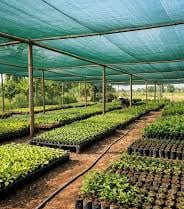 HDPE Shade Net for Plant Nursery and Greenhouse