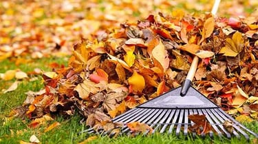 A garden rake leans against a large pile of colorful orange and yellow autumn leaves on a green lawn.