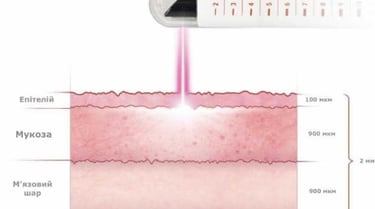 фото Схема як працюе juliet