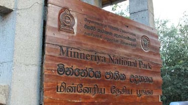 Minneriya & Kaudulla National Parks