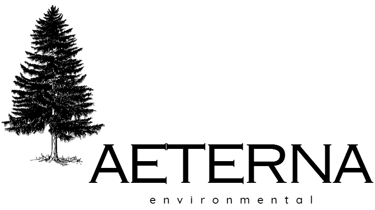 aeterna environmental