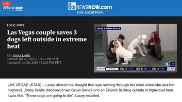 8 News Now, Las Vegas, news story about 3 dogs whose lives were saved by Lacey and Jonny Sculls