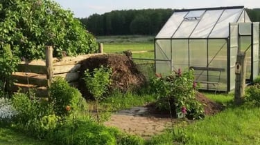 Culture de légumes sous serre 