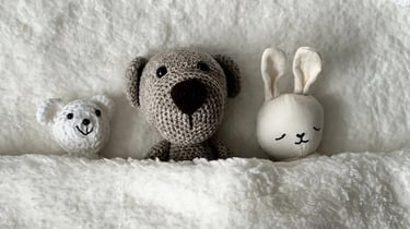 peluche qui dorme pour illustrer Formation sommeil bébé professionnelle